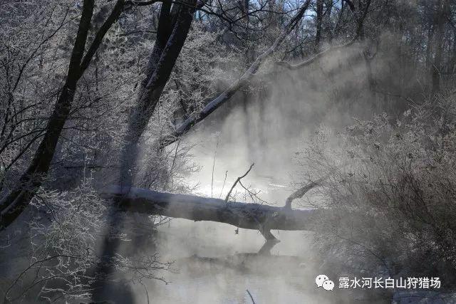 (经济观察)下好川渝“一盘棋” 推进成渝地区双城经济圈建设走深走实